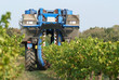 machine pour vendanger