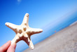 Hand Holding Starfish