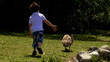Video: Boy giving food to a bird Boy giving food to a bird