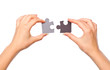 Hands with two puzzles