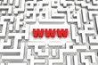 World Wide Web Maze - 3D image World Wide Web Maze - 3D image