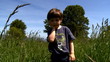 Video: Little boy walking in the field Little boy walking in the field