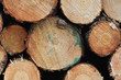 Log ends piled up