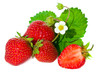 Strawberry.