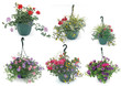 suspension florale