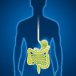 Magen, Darm, Magenmedizin, Untersuchung Magen, Darm, Magenmedizin, Untersuchung