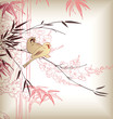 Bamboo Bird Cherry Blossom