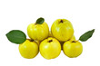 Arrangement of fresh quinces