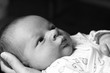 bébé bébé