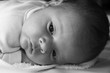 Visage de bébé Visage de bébé