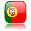 Portugese Square Flag Button (vector with reflection)