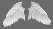 Angel Wings - 3D render
