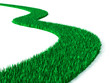 Illustration: Grass road on white Grass road on white