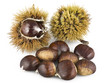 Castagne 3 10 09