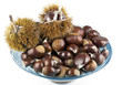 Castagne 1 10 09