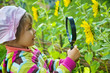 pretty Little Girl with magnifying glass looks at flower