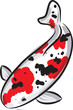 Red and black spotted Carp koi (breed Sanke) Red and black spotted Carp koi (breed Sanke)
