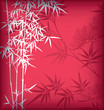 Bamboo