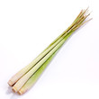 Lemon Grass Lemon Grass