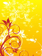 Summer background