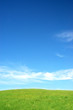Blue sky and meadow