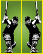cricket
