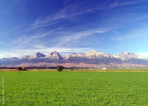 Photo: A view of The Tatra Mountains & field in summer, Slovakia. A view of The Tatra Mountains & field in summer, Slovakia.