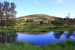 irlanda
