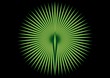 Green Circle Vector