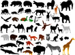 collection of wild animals vector silhouettes collection of wild animals vector silhouettes