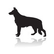 german shepherd dog silhouette