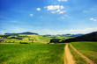 Weg in den Hügeln Weg in den Hügeln