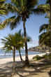 Reunion island