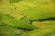 Sapa, Vietnam
