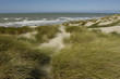 France, dunes de Stella Plage