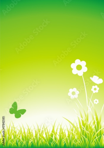 Green vector grass butterfly © koszivu #17842585 - See