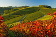 Durbacher Herbst