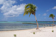 Caribbean Beach Caribbean Beach