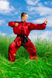 Tai chi girl