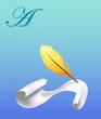 Vektor: Yellow feather and paper Yellow feather and paper