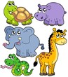 African animals collection 4