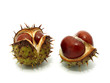 Two Chestnuts