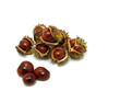 Chestnuts