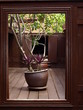 Cour d'une maison traditionnelle thaïlandaise