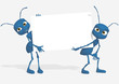 Blue ant 06