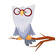 owl