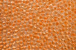 caviar