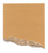 Torn Cardboard