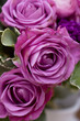 Bunch of lila flowers
