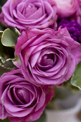 Foto: Bunch of lila flowers Bunch of lila flowers